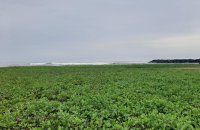 Coastal Land For Sale In Kammala Wennappuwa