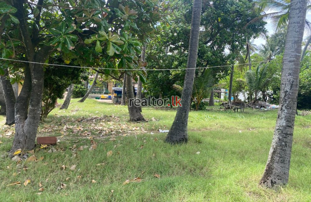 Beach Land For Sale At Uswetakeiyawa