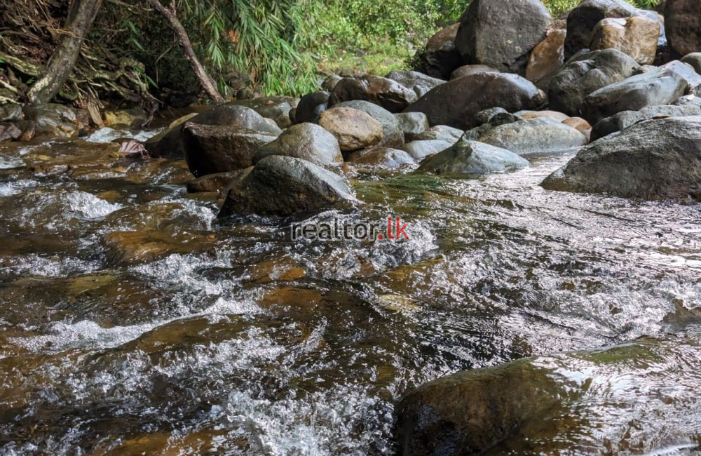 Tea Estate For Sale In Hiniduma Galle
