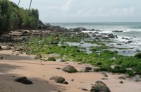 Beachfront Land For Sale In Talalla