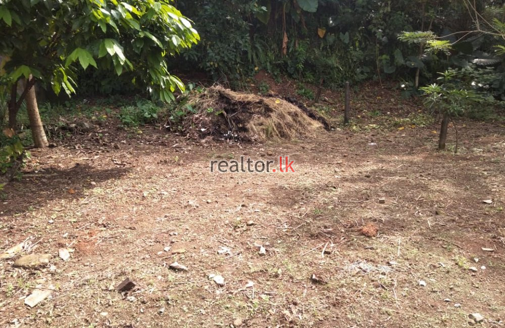 Residential Land For Sale In Thalawathugoda