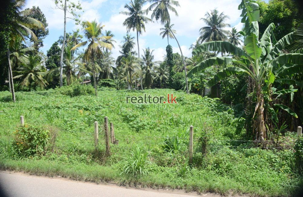 Land For Lease Gampaha Kalagedihena