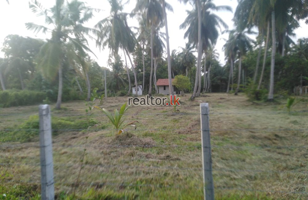 Marawila Coconut Land For Sale
