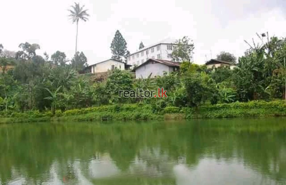 Kandy Tea Estate + Factory For Sale