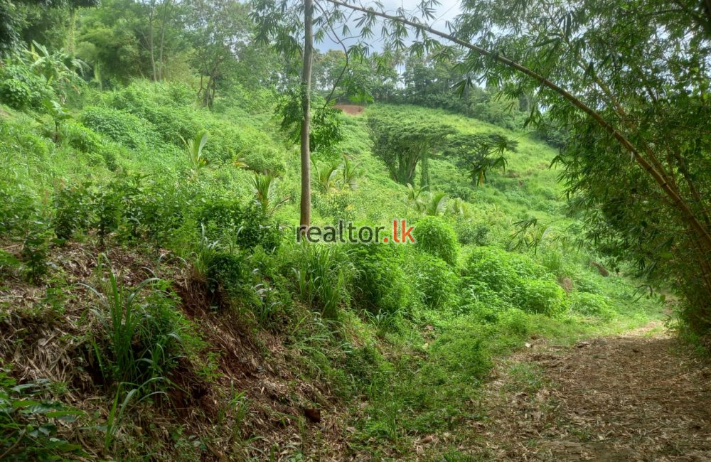 Mixed Estate For Sale In Dodangaslanda Kurunegala