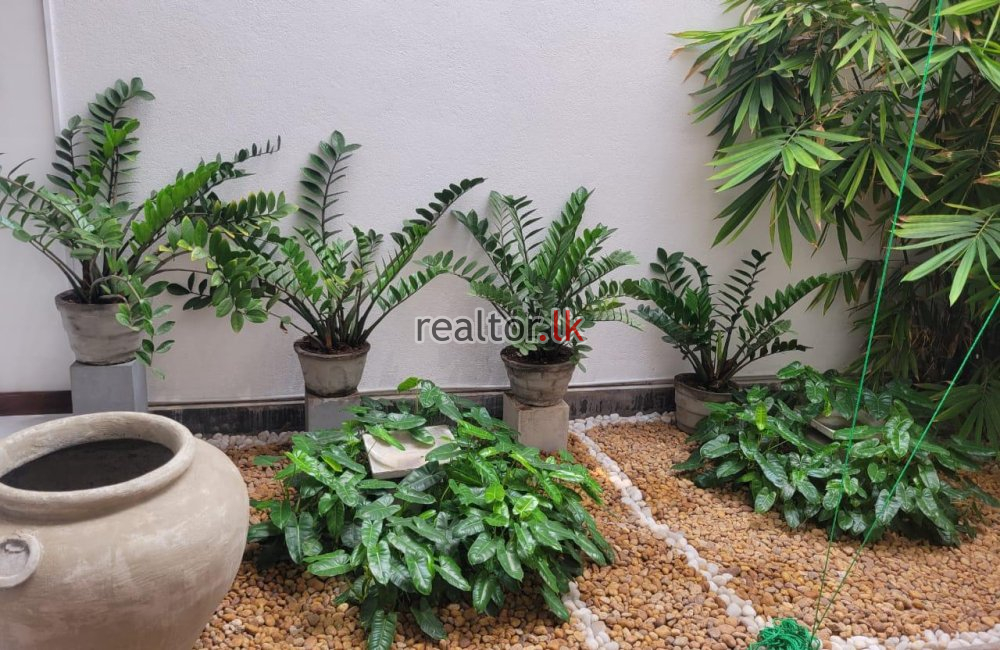 House For Rent At Havelock Terrace Colombo 5