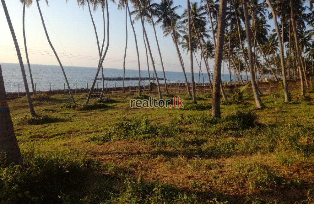 23 Acres Beach Front Land For Sale In Marawila