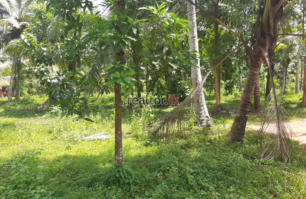 Facing Divulapitiya Rd 15A Land For Sale