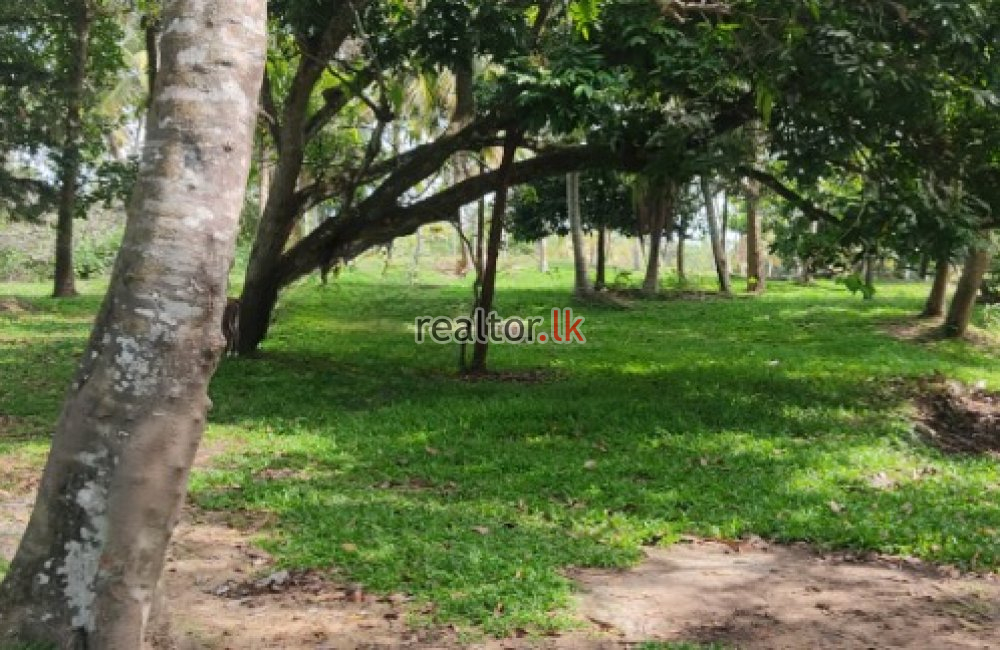 Land For Sale At Ahangama