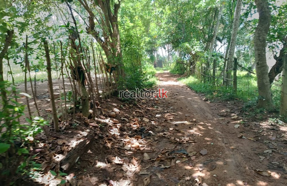 Beach Land For Sale At Dikwella