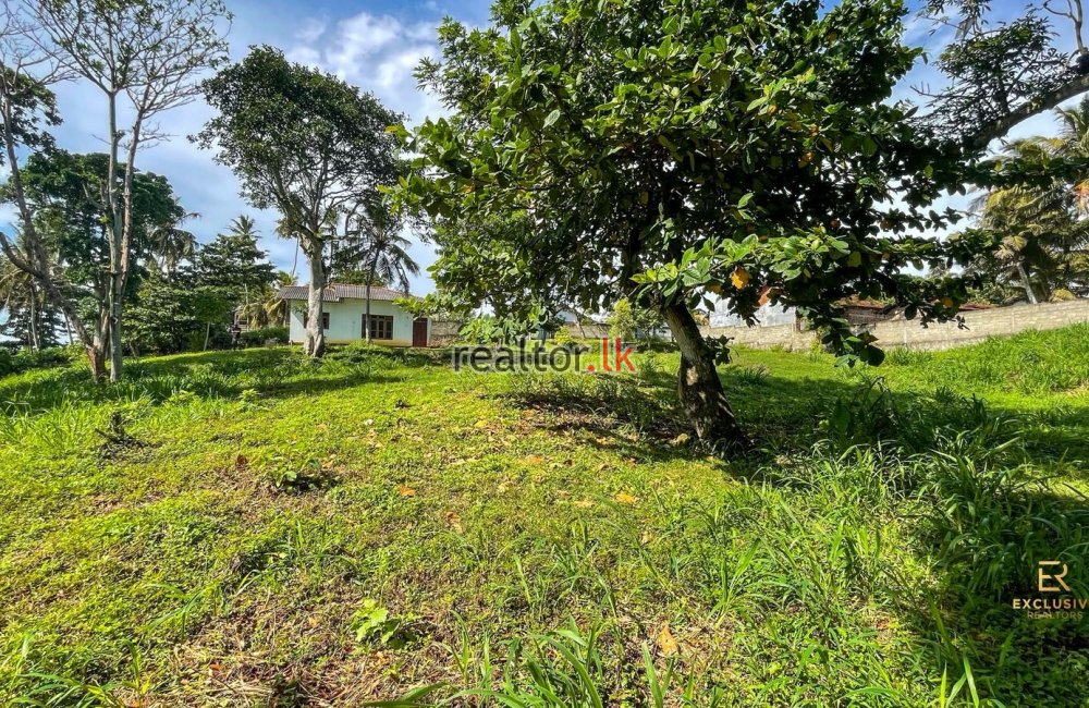 Rare Headland Property For Sale South Coastline
