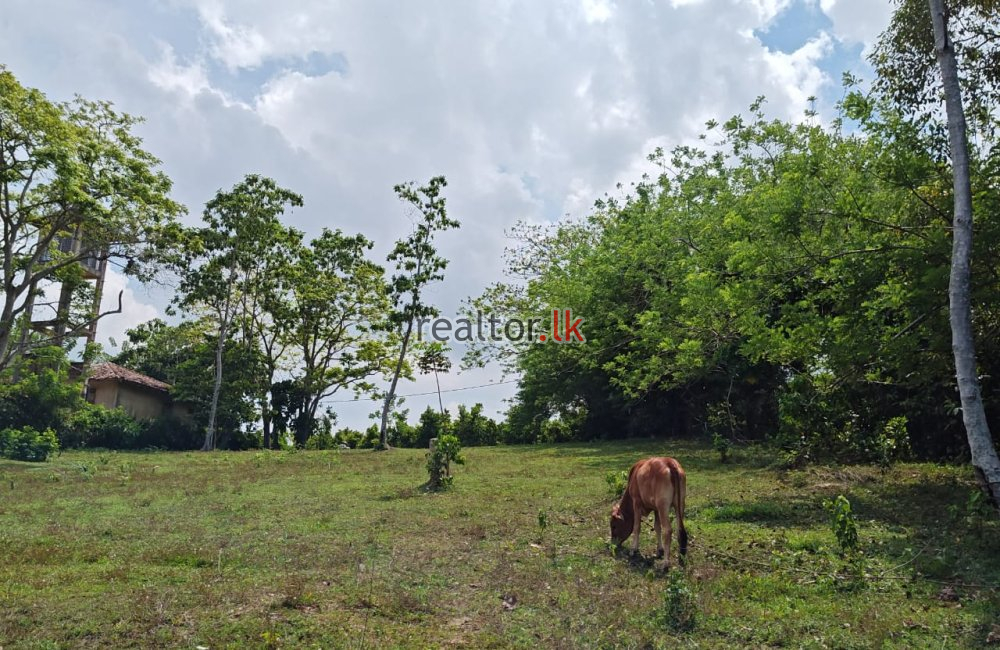 Lake Front Land For Sale At Koggala