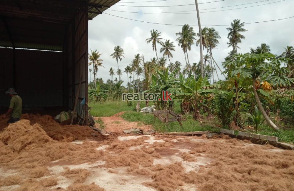 Warehouse At Facing Padiwela Rd Kuliyapitiya