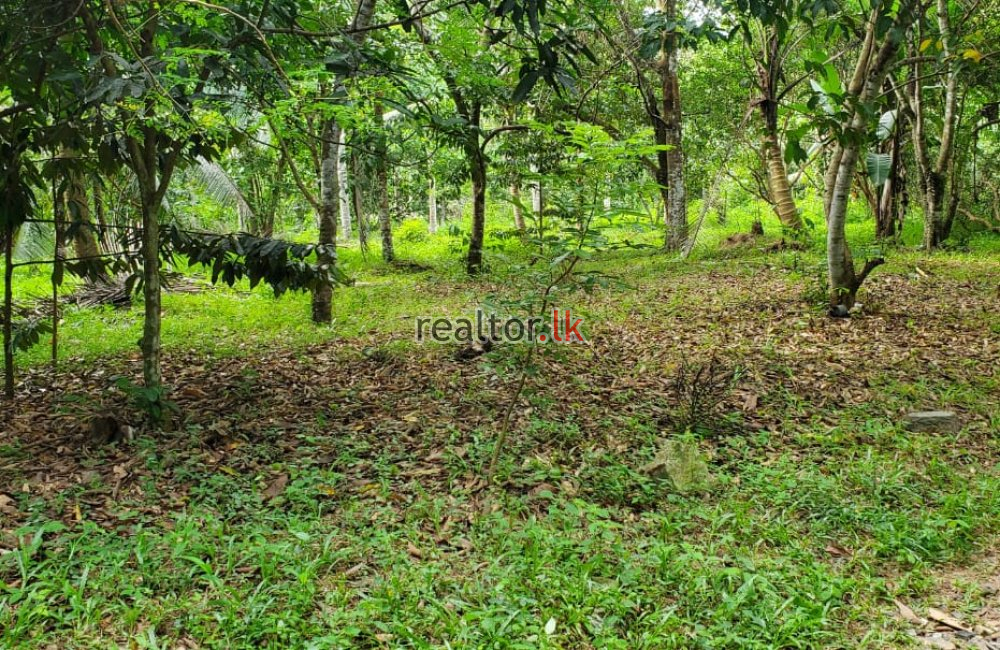 Mixed Estate For Sale In Minuwangoda