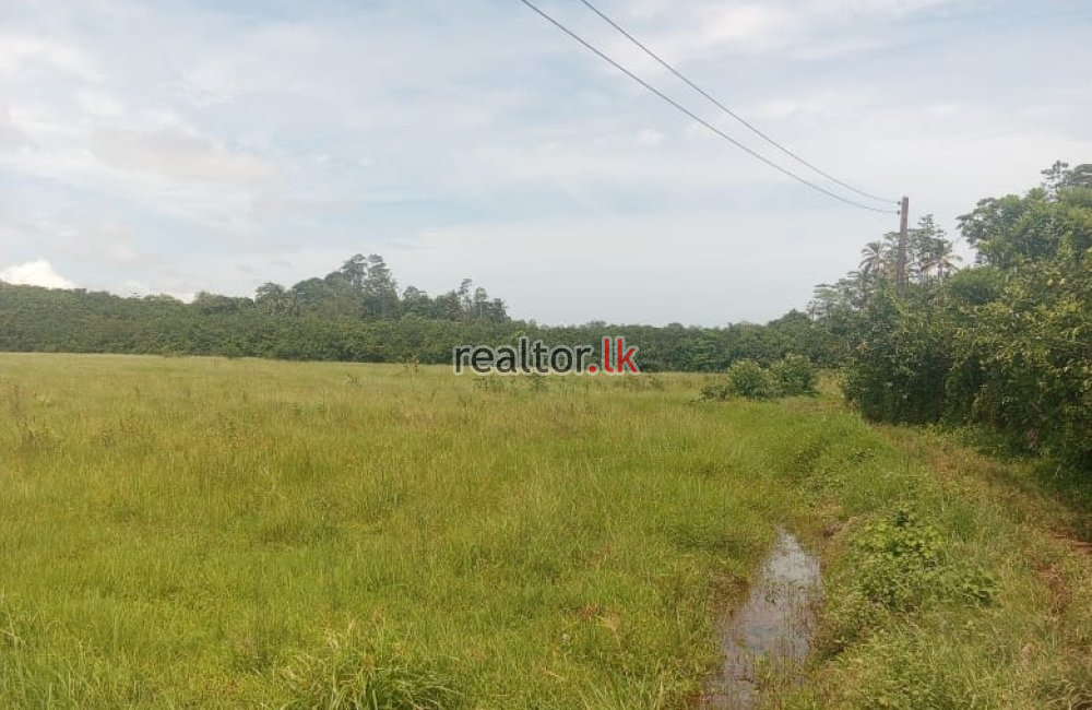 Scenic Land For Sale At Ahangama