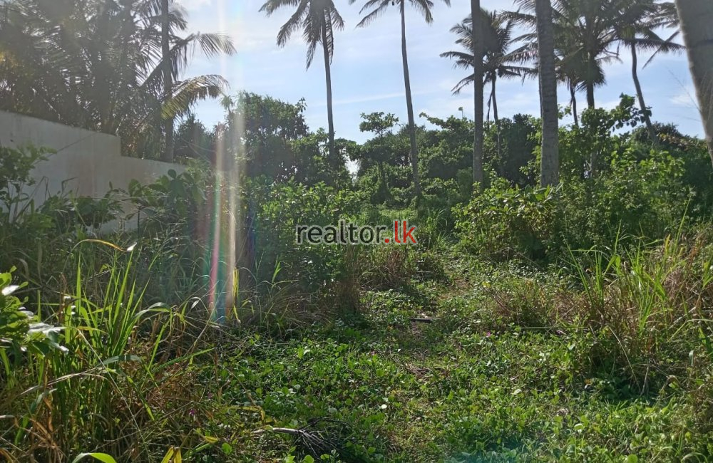 Beachfront Land For Sale In Eduruwa