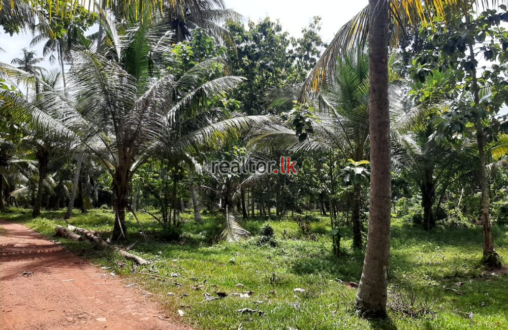 Facing Divulapitiya Rd 15A Land For Sale