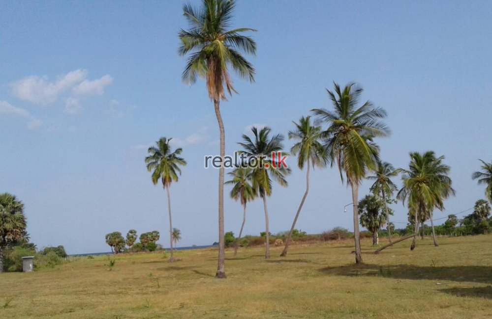 Beach Front Land At Passikudah