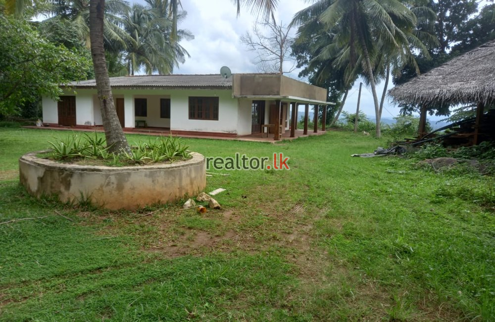 Mixed Estate For Sale In Dodangaslanda Kurunegala