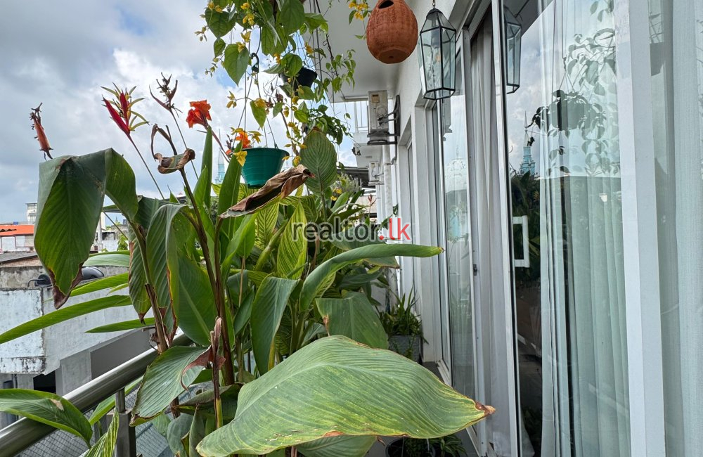 Three Bed For Rent At The Flemington Rajagiriya