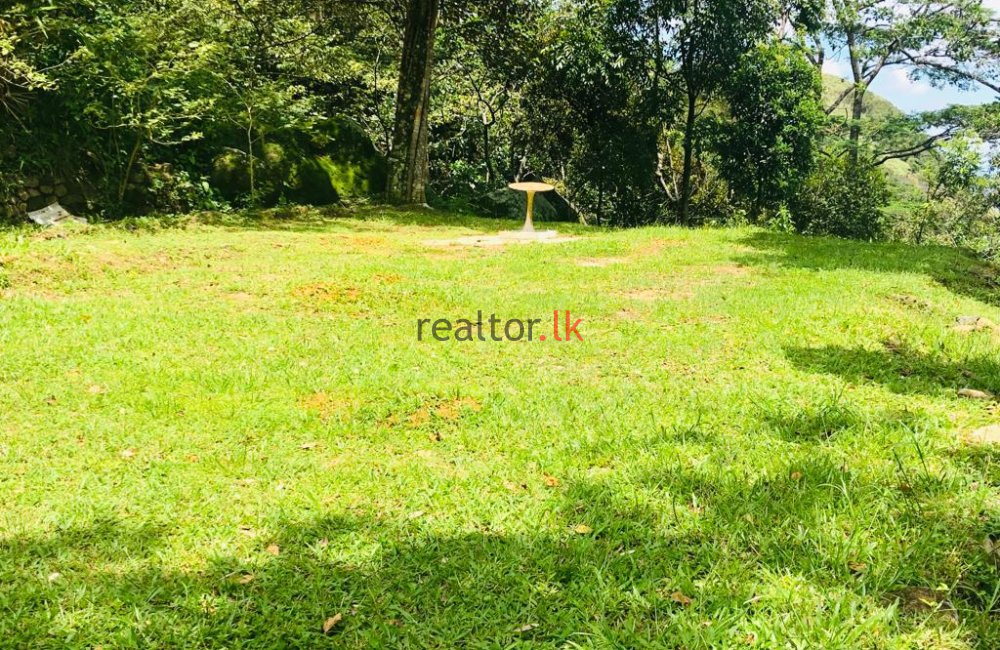 Matale Mixed Plant Estate For Sale