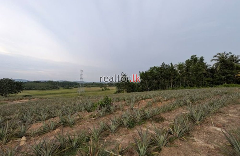Land For Sale In Rathmalgoda Road Yatawathura
