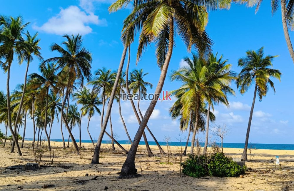 Land For Sale At Kalkudah