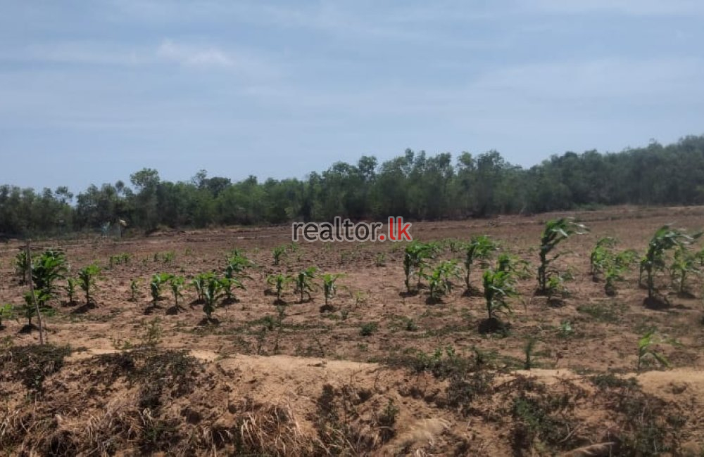 Mundalama Land For Sale