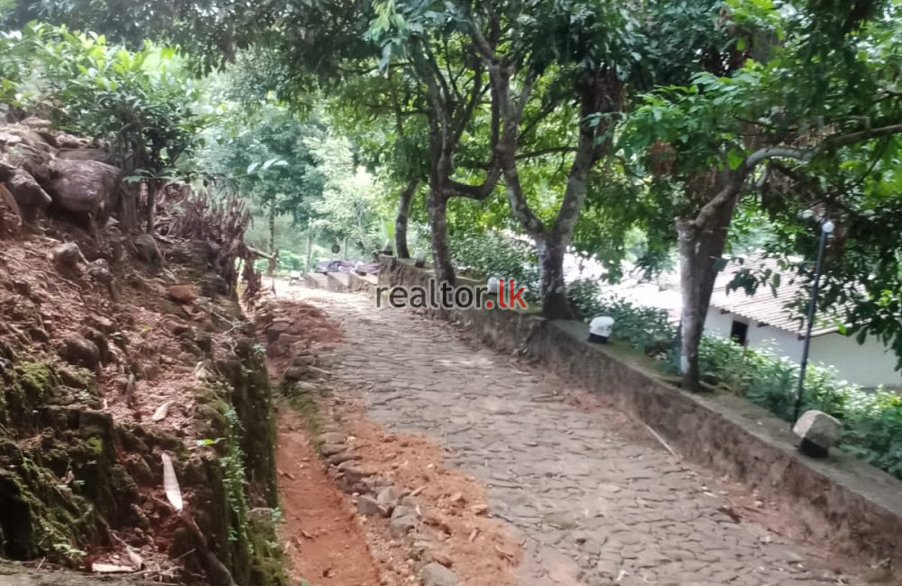 Mixed Plant Estate For Sale At Dehiowita