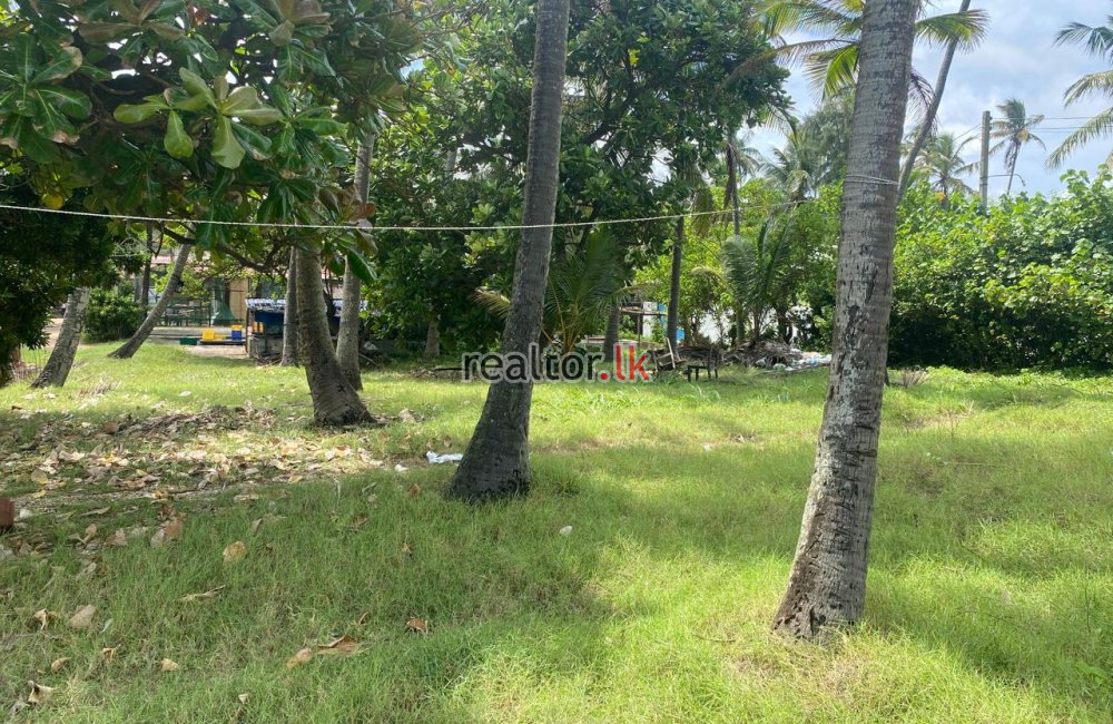 Beach Land For Sale At Uswetakeiyawa