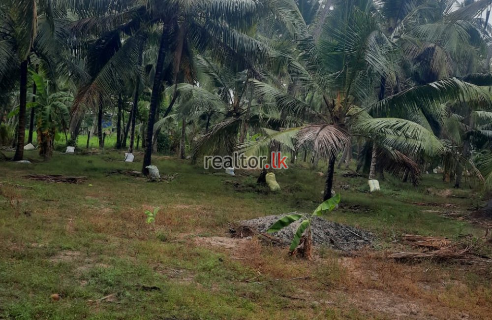 Land For Sale In Bujjampola Dankotuwa