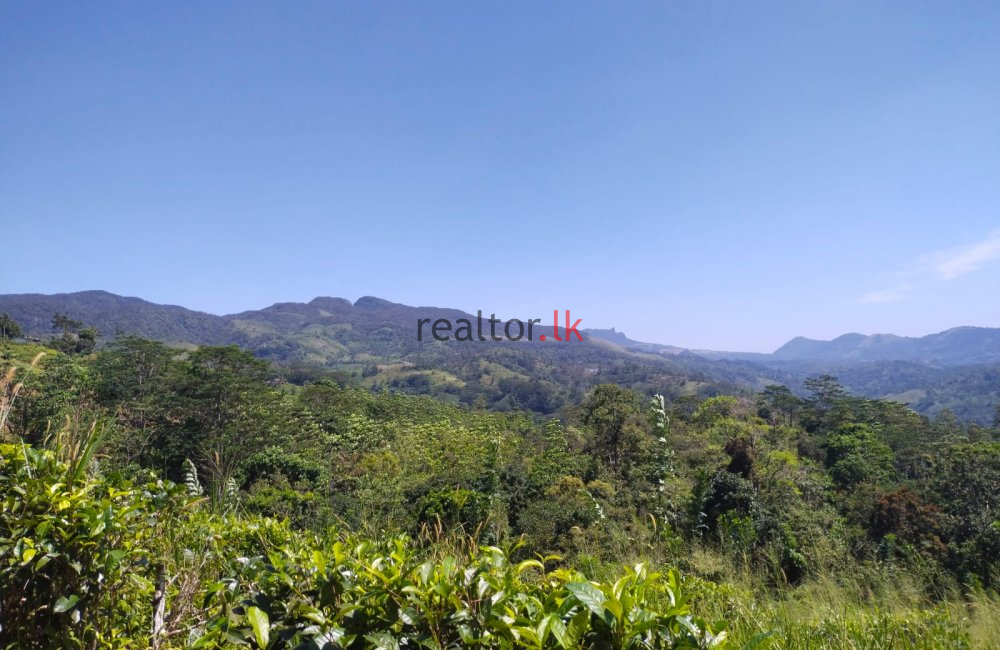 Deniyaya Land For Sale