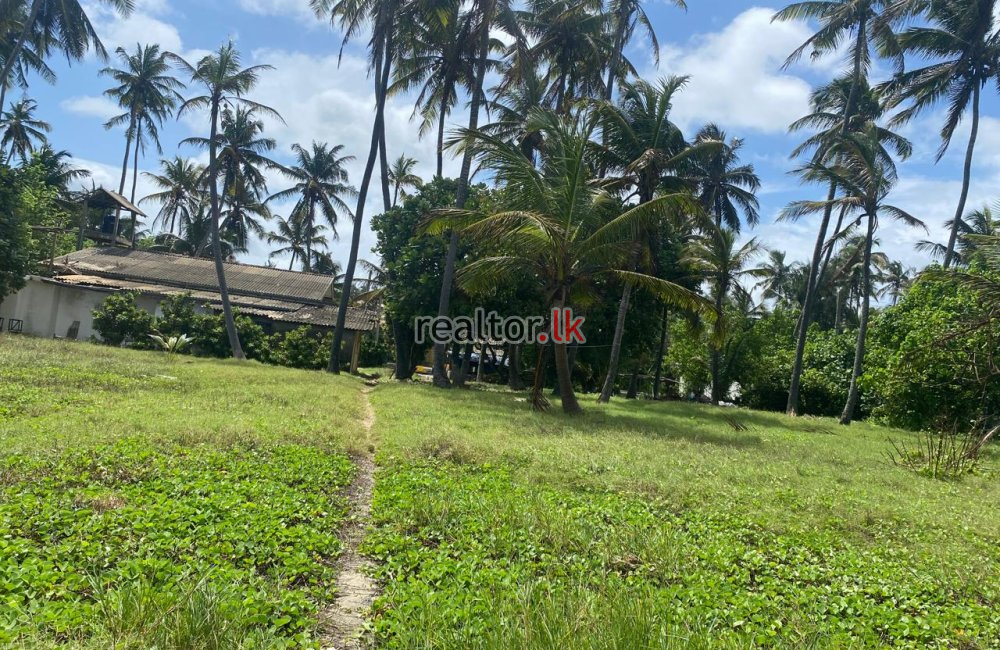 Beach Land For Sale At Uswetakeiyawa