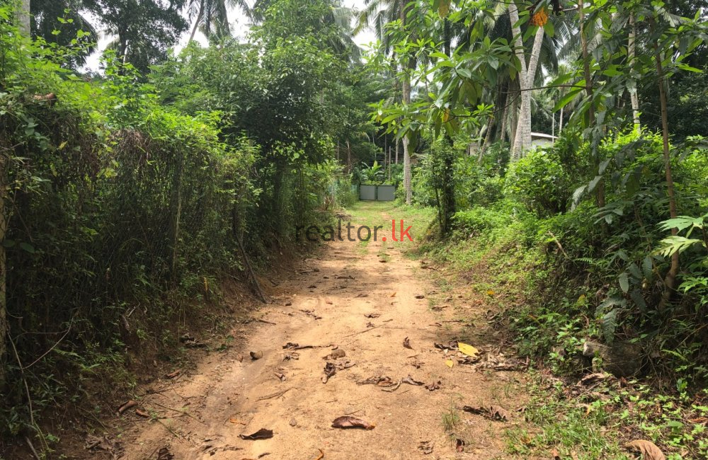 Facing Main Rd Ingiriya Land For Sale