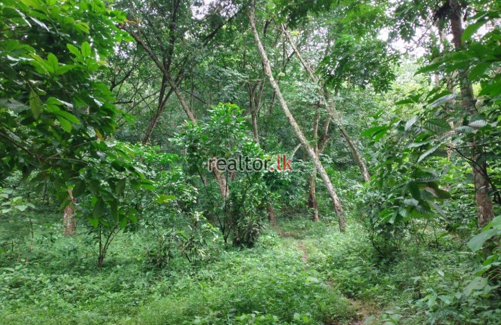 Facing Kandy Road Land For Sale
