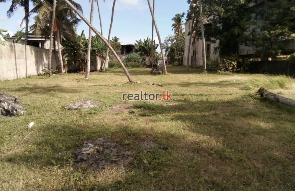 Facing Bolgoda Lake Land For Sale At Panadura