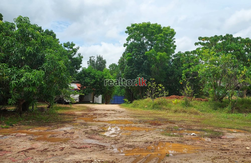 Factory For Sale At Kurunegala Pilessa