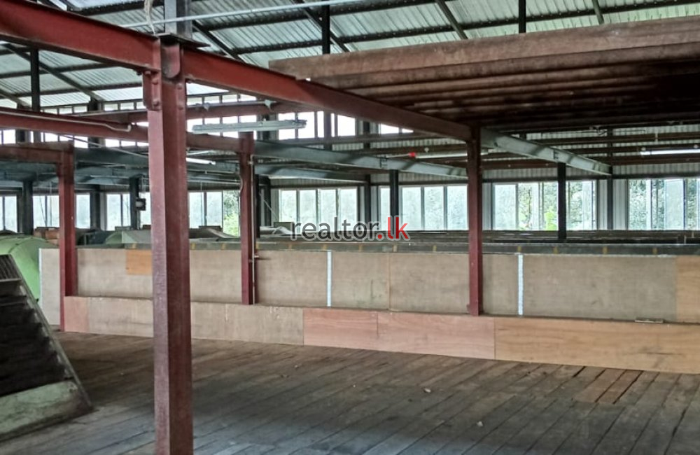 Fully Equipped Tea Factory For Rent In Galle