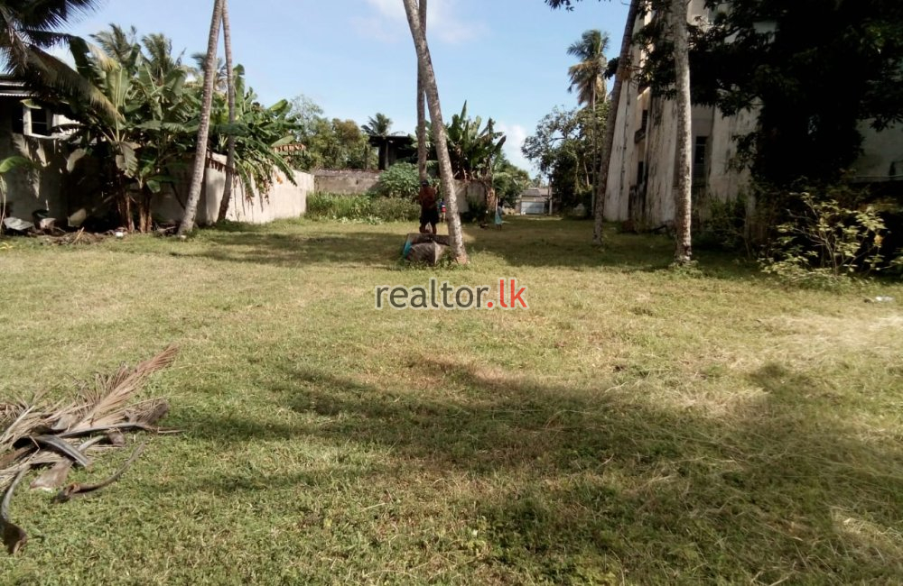 Facing Bolgoda Lake Land For Sale At Panadura