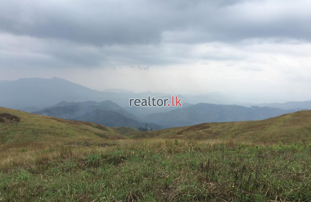 Land For Sale In Nawalapitiya