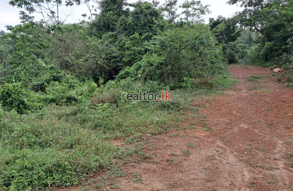 Land For Sale Facing Main Rd Mirissa