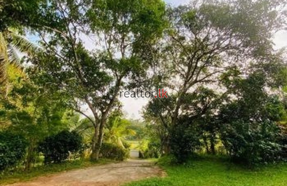 Land For Sale In Weligama Matara