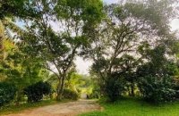 Land For Sale In Weligama Matara