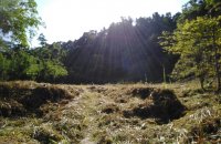 Facing Kurunegala Road Land For Sale