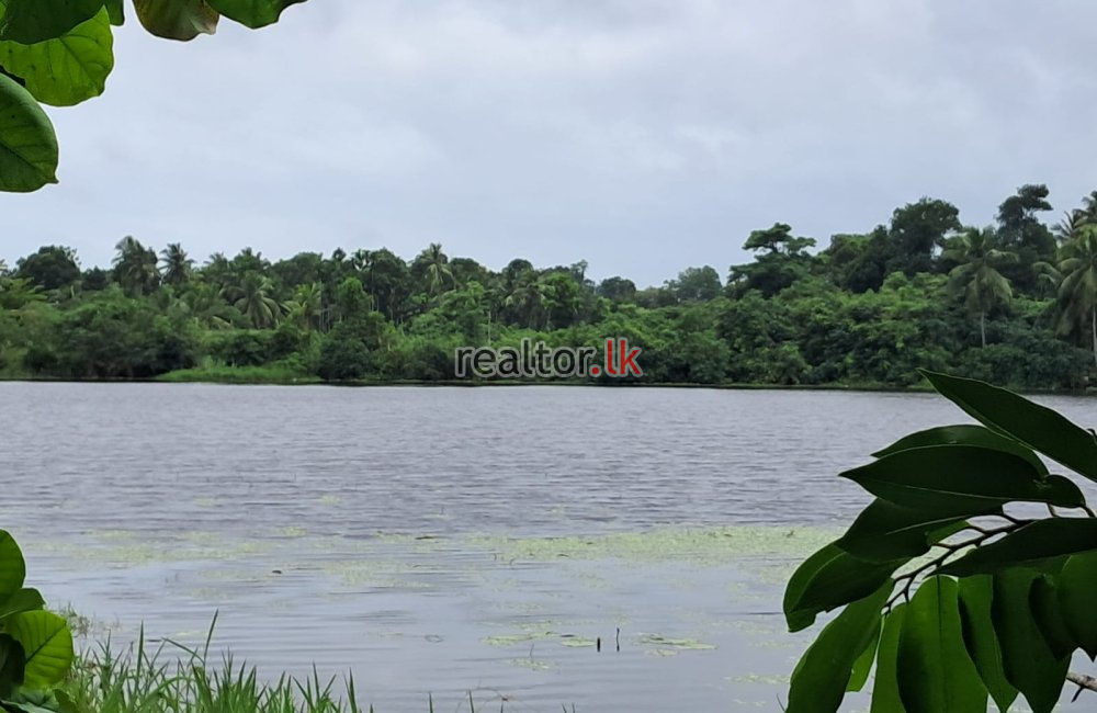 Bolgoda Riverfront Land For Sale In Bandaragama