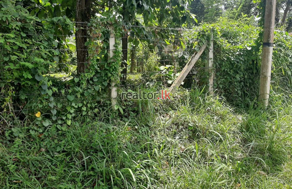 Facing Divulapitiya Rd 15A Land For Sale