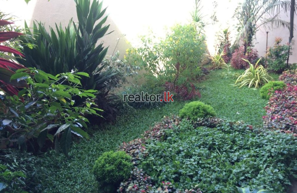 House For Rent At Mahasen Mw Colombo