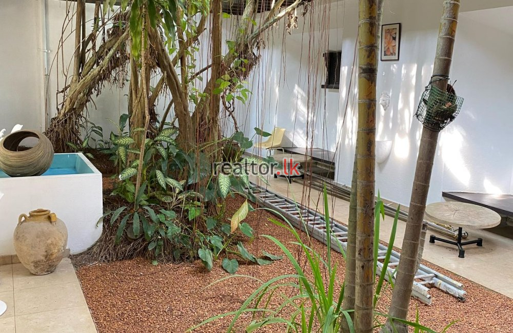 House For Rent At Bauddhaloka Mw Colombo 07