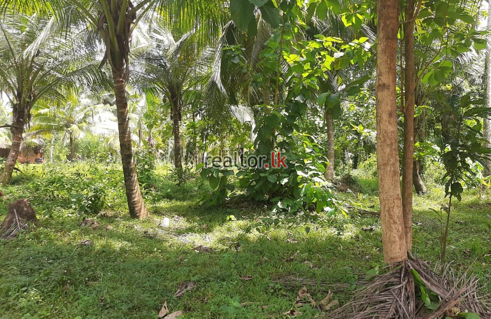 Facing Divulapitiya Rd 15A Land For Sale