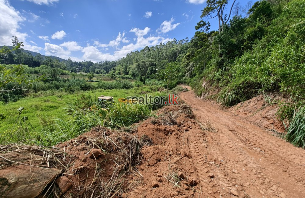 Land For Sale In Galahitiyawa Rd Ambegoda